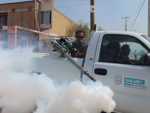 pest control-fumigation